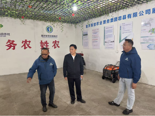 AG��˾(�й�����)�����޹�˾����